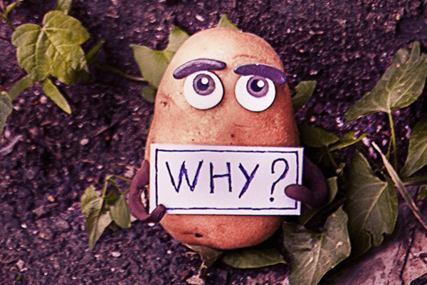 why patata